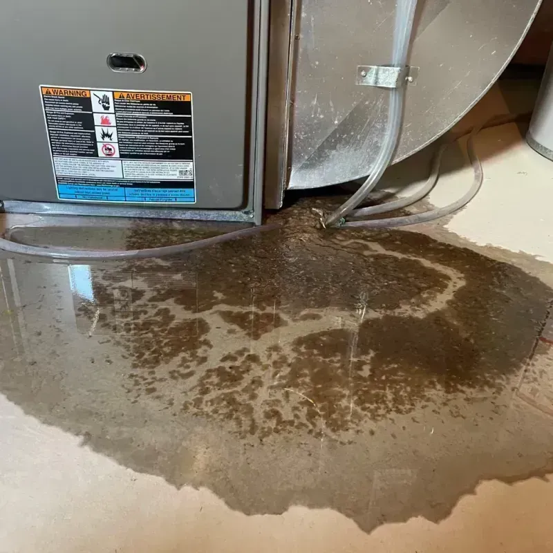 Appliance Leak Cleanup in Adair County, KY